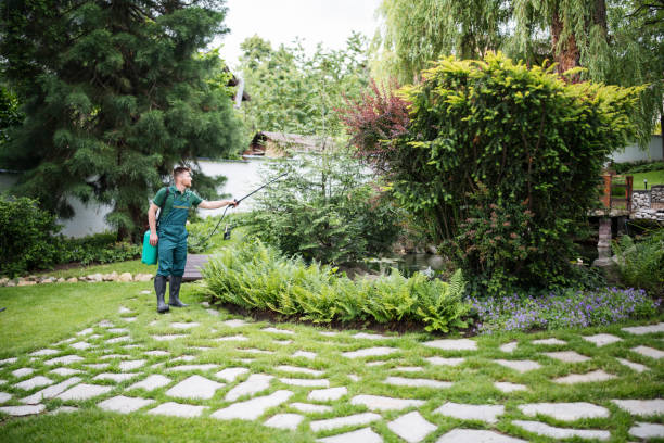 Best Pest Prevention Services  in Bethany, OK