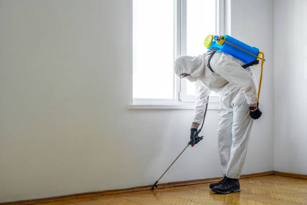 Best Best Pest Control Companies  in Bethany, OK
