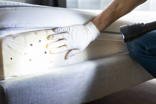 Best Residential Pest Control  in Bethany, OK