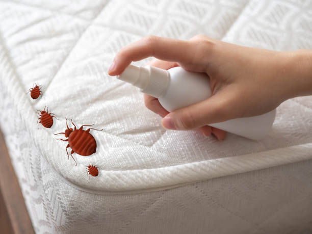 Best Emergency Pest Control  in Bethany, OK