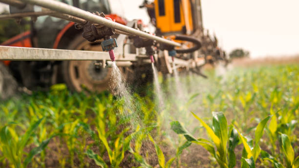 Best Mosquito Control Services  in Bethany, OK